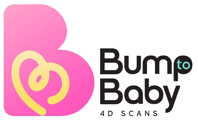 Bump to Baby 4D Scans Logo