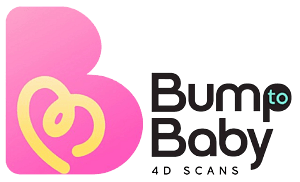 Bump to Baby Logo