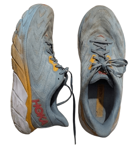 Sneaker Before Cleaning