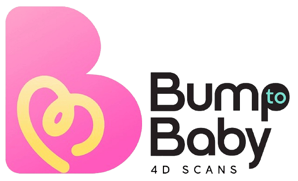Bump to Baby Logo